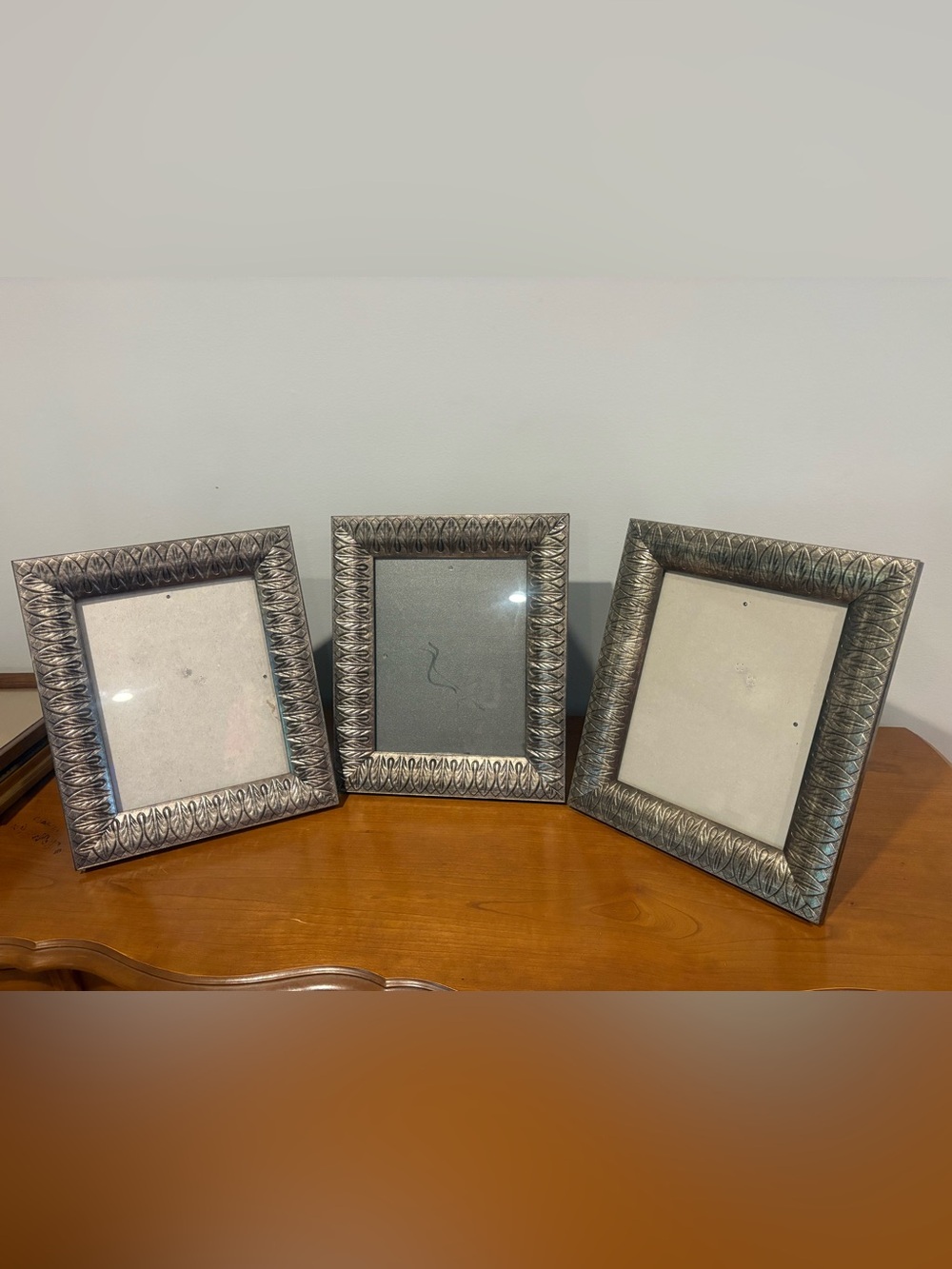 Bundle of 3 Matching Picture Pewter Botanical Style Frames 8x10